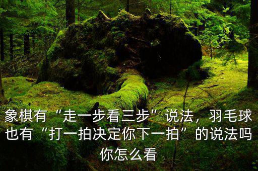 象棋有“走一步看三步”說法，羽毛球也有“打一拍決定你下一拍”的說法嗎你怎么看