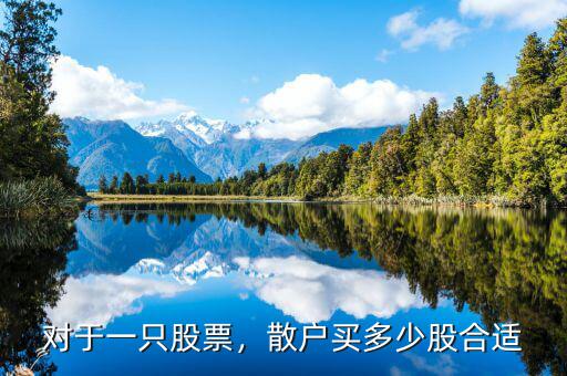 對(duì)于一只股票，散戶買多少股合適