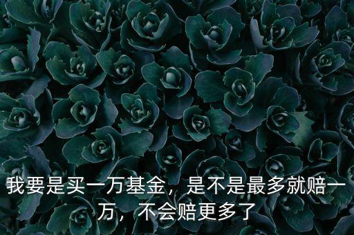 我要是買一萬基金，是不是最多就賠一萬，不會(huì)賠更多了