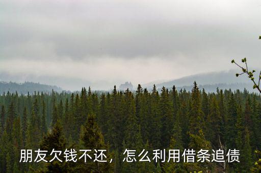 朋友欠錢(qián)不還，怎么利用借條追債