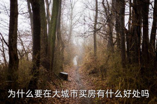 為什么要在大城市買(mǎi)房有什么好處嗎