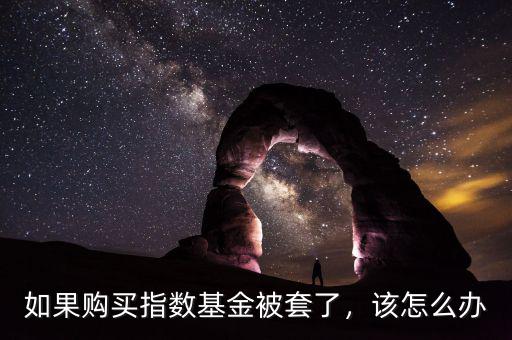 如果購買指數(shù)基金被套了，該怎么辦