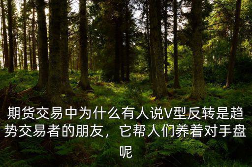 期貨交易中為什么有人說(shuō)V型反轉(zhuǎn)是趨勢(shì)交易者的朋友，它幫人們養(yǎng)著對(duì)手盤呢