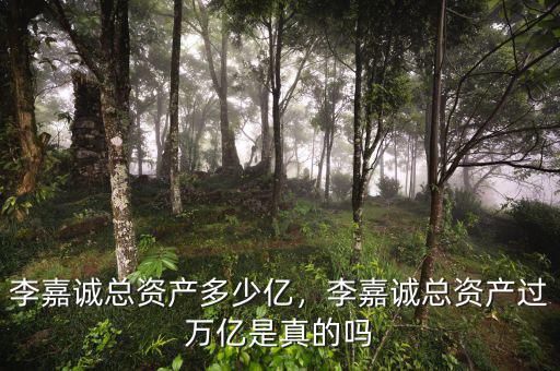 李嘉誠(chéng)總資產(chǎn)多少億，李嘉誠(chéng)總資產(chǎn)過萬億是真的嗎