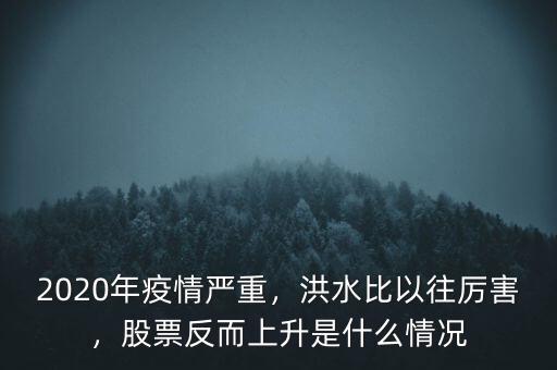2020年疫情嚴重，洪水比以往厲害，股票反而上升是什么情況