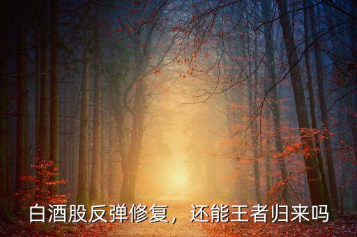 白酒股反彈修復，還能王者歸來嗎