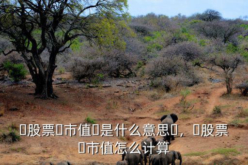 ?股票?市值?是什么意思?，?股票?市值怎么計(jì)算