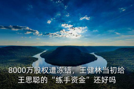 8000萬股權遭凍結，王健林當初給王思聰?shù)摹熬毷仲Y金”還好嗎