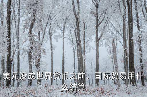 美元沒成世界貨幣之前，國際貿(mào)易用什么結(jié)算