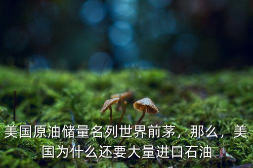 美國原油儲量名列世界前茅，那么，美國為什么還要大量進(jìn)口石油