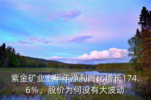 紫金礦業(yè)上半年凈利同比增長174.6％，股價為何沒有大波動