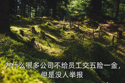 為什么很多公司不給員工交五險(xiǎn)一金，但是沒人舉報(bào)