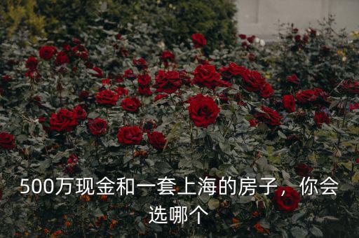 500萬現(xiàn)金和一套上海的房子，你會選哪個