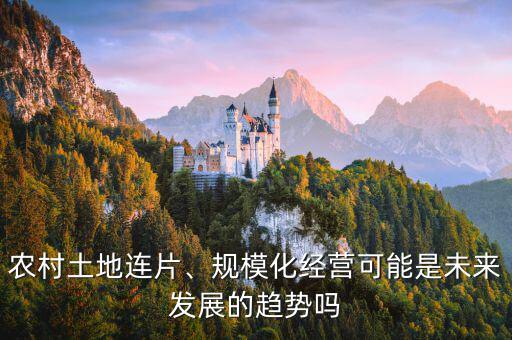 農(nóng)村土地連片、規(guī)?；?jīng)營可能是未來發(fā)展的趨勢嗎