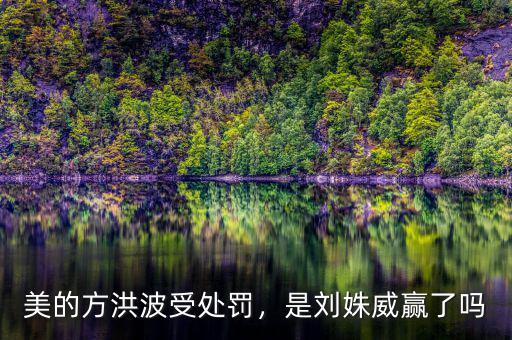 美的方洪波受處罰，是劉姝威贏了嗎