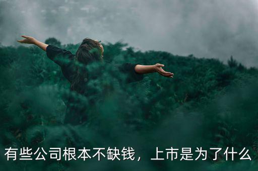 有些公司根本不缺錢，上市是為了什么
