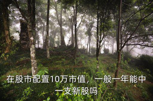 在股市配置10萬市值，一般一年能中一支新股嗎