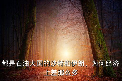 都是石油大國的沙特和伊朗，為何經(jīng)濟上差那么多
