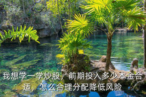 我想學(xué)一學(xué)炒股，前期投入多少本金合適，怎么合理分配降低風(fēng)險