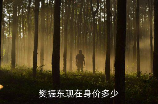 樊振東現在身價多少