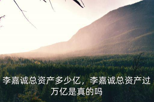 李嘉誠(chéng)總資產(chǎn)多少億，李嘉誠(chéng)總資產(chǎn)過(guò)萬(wàn)億是真的嗎