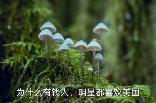 為什么有錢人、明星都喜歡美國