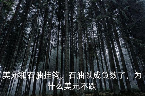 美元和石油掛鉤，石油跌成負(fù)數(shù)了，為什么美元不跌