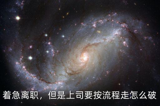 投奔怎么破,但是上司要按流程走。怎么破