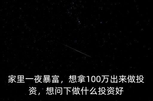 100萬(wàn)做什么投資,不知做什么投資