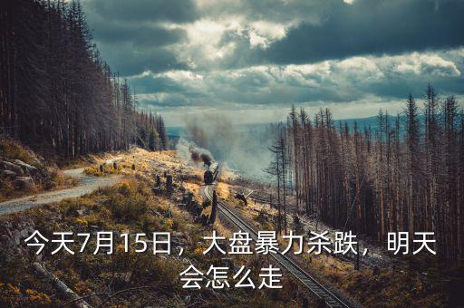 今天7月15日，大盤暴力殺跌，明天會怎么走