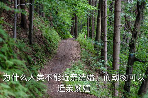 為什么人類不能近親結(jié)婚，而動物可以近親繁殖