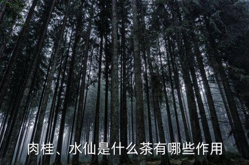 肉桂、水仙是什么茶有哪些作用