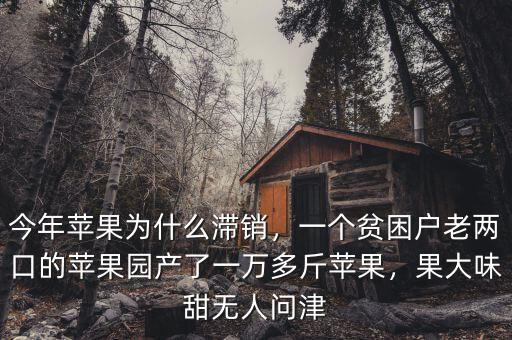 今年蘋果為什么滯銷，一個貧困戶老兩口的蘋果園產(chǎn)了一萬多斤蘋果，果大味甜無人問津