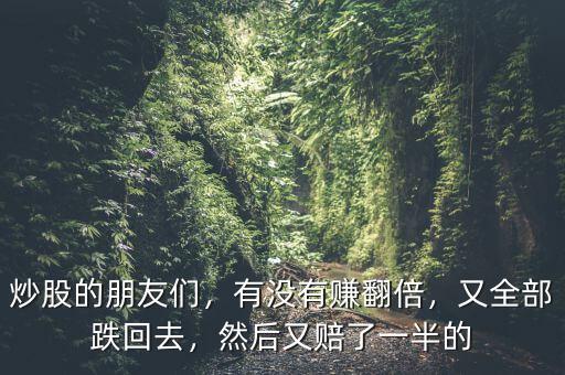 炒股的朋友們，有沒有賺翻倍，又全部跌回去，然后又賠了一半的