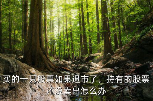 買的一只股票如果退市了，持有的股票還沒賣出怎么辦