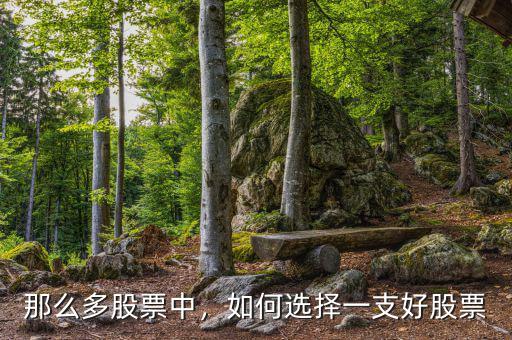 那么多股票中，如何選擇一支好股票