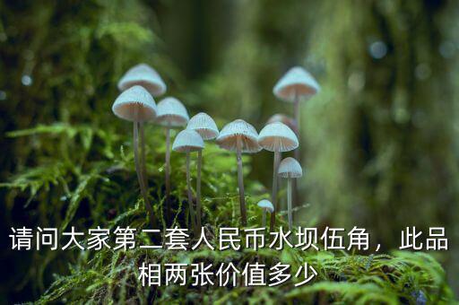 請(qǐng)問大家第二套人民幣水壩伍角，此品相兩張價(jià)值多少