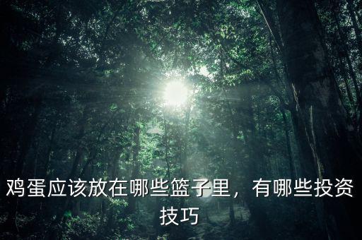 雞蛋應(yīng)該放在哪些籃子里，有哪些投資技巧