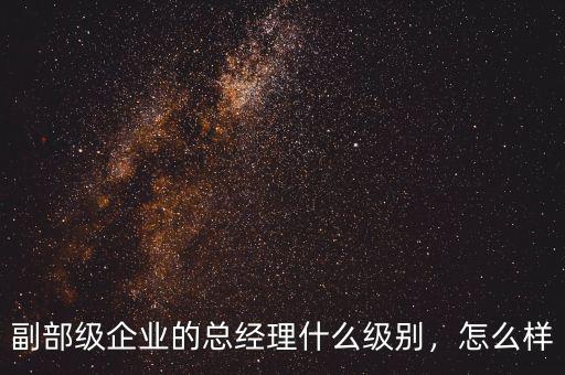 副部級(jí)企業(yè)的總經(jīng)理什么級(jí)別，怎么樣