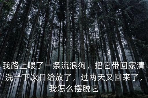 我路上喂了一條流浪狗，把它帶回家清洗一下次日給放了，過兩天又回來了，我怎么擺脫它
