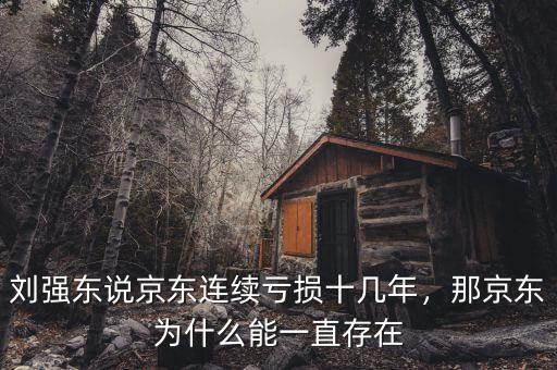 劉強東說京東連續(xù)虧損十幾年，那京東為什么能一直存在