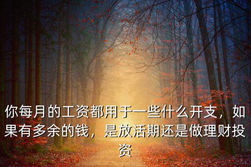 你每月的工資都用于一些什么開(kāi)支，如果有多余的錢(qián)，是放活期還是做理財(cái)投資