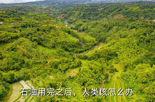 石油用完之后，人類該怎么辦