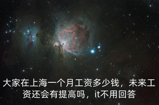 大家在上海一個月工資多少錢，未來工資還會有提高嗎，it不用回答