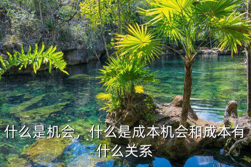 什么是機(jī)會(huì)，什么是成本機(jī)會(huì)和成本有什么關(guān)系