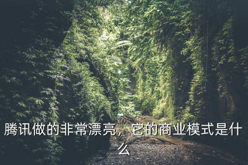 騰訊做的非常漂亮，它的商業(yè)模式是什么