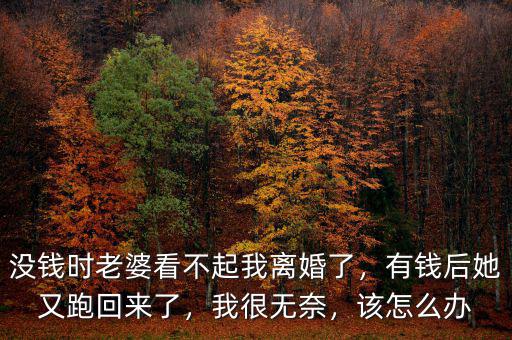 沒錢時老婆看不起我離婚了，有錢后她又跑回來了，我很無奈，該怎么辦