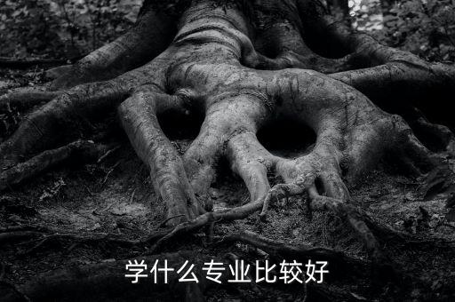學(xué)什么專業(yè)好當官,學(xué)什么專業(yè)比較好