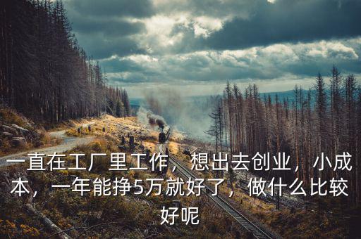 一直在工廠里工作，想出去創(chuàng)業(yè)，小成本，一年能掙5萬就好了，做什么比較好呢