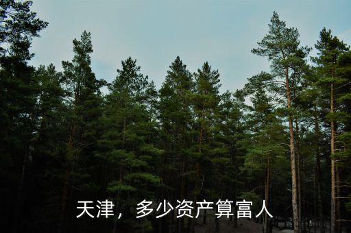 天津，多少資產(chǎn)算富人